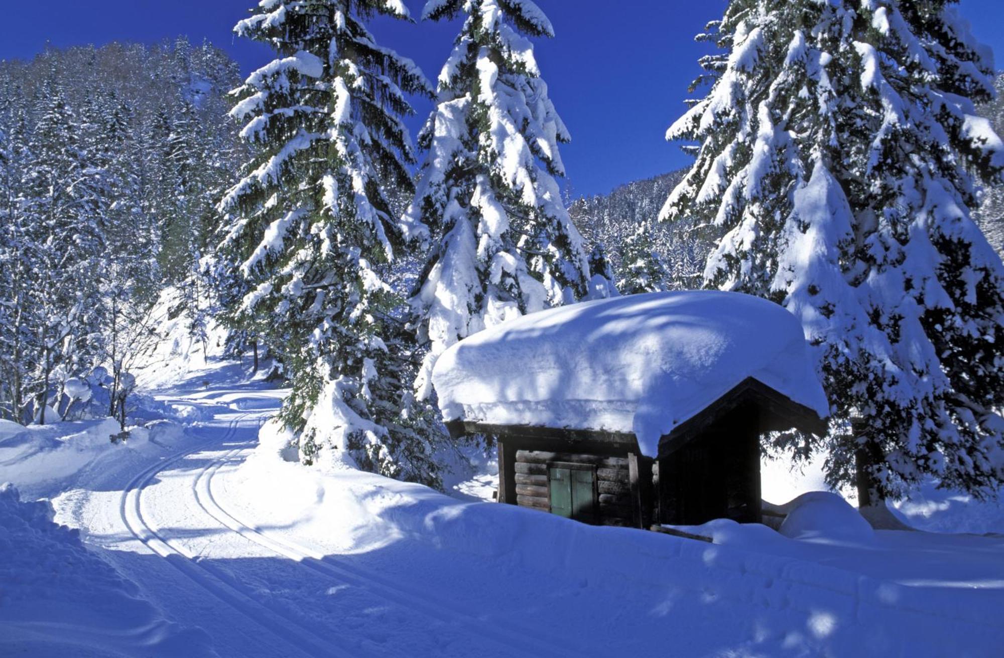 Landhaus Foidl Sankt Johann in Tirol Buitenkant foto